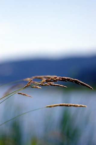 0706_Idaho_Sandpoint7