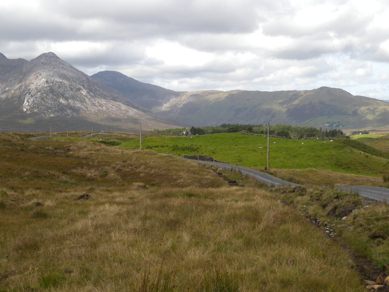 DSCN0774