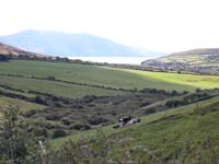 DSCN0473