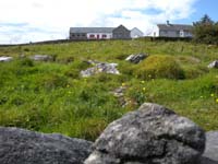 DSCN0520
