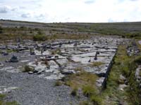 DSCN0531