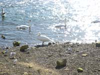 DSCN0648