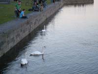 DSCN0659