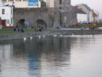DSCN0667