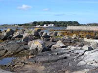 DSCN0677