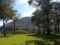 DSCN0729