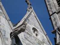 DSCN0737