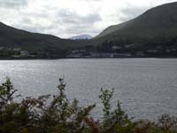 DSCN0766
