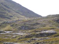 DSCN0799