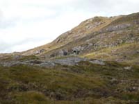 DSCN0803