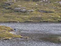 DSCN0804