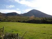 DSCN0837
