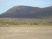 DSCN0871