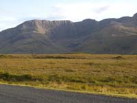 DSCN0882