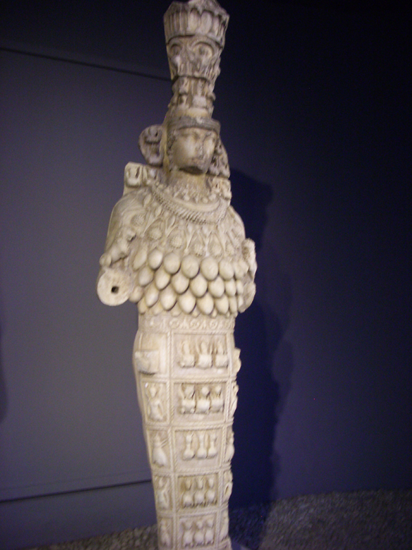 IMGP2286