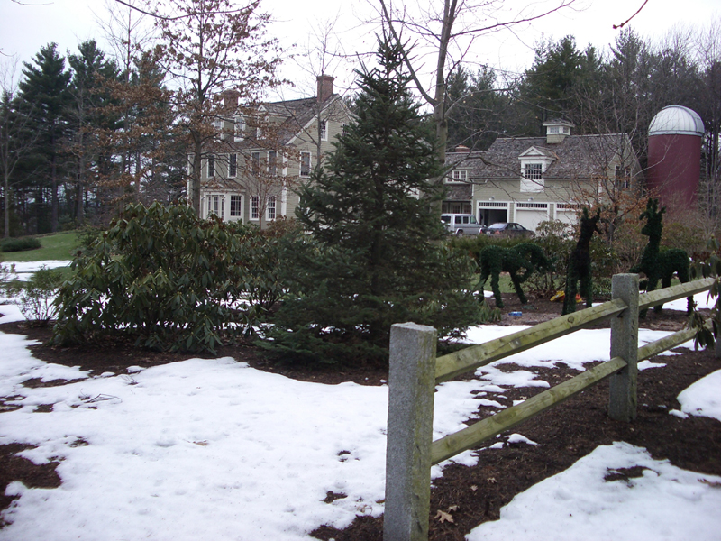 Harvard_ramblingnewcnsr