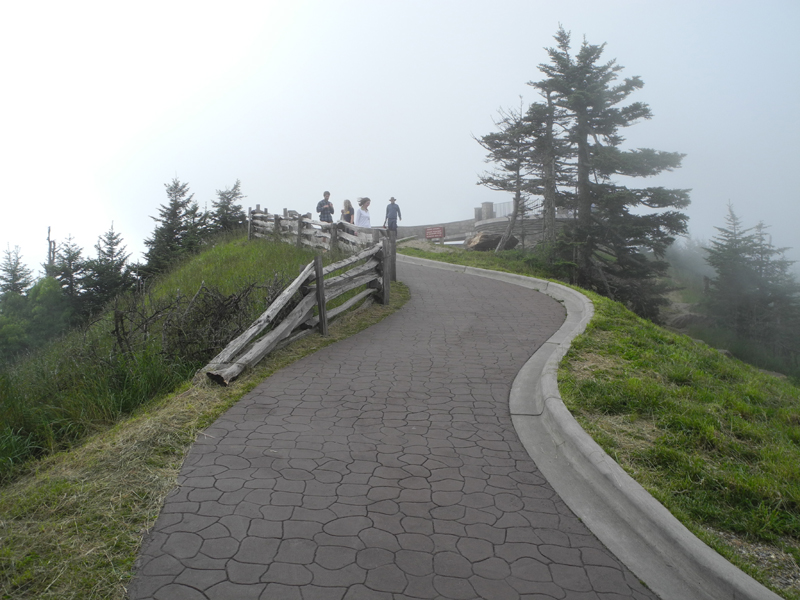 DSCN0836