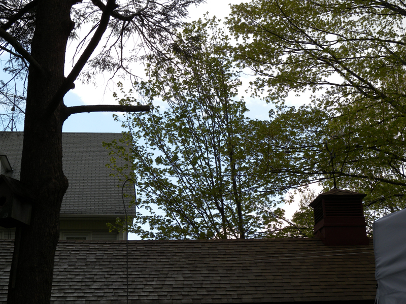 DSCN2077