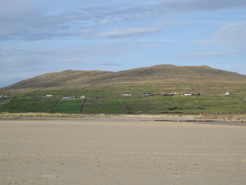 DSCN0864