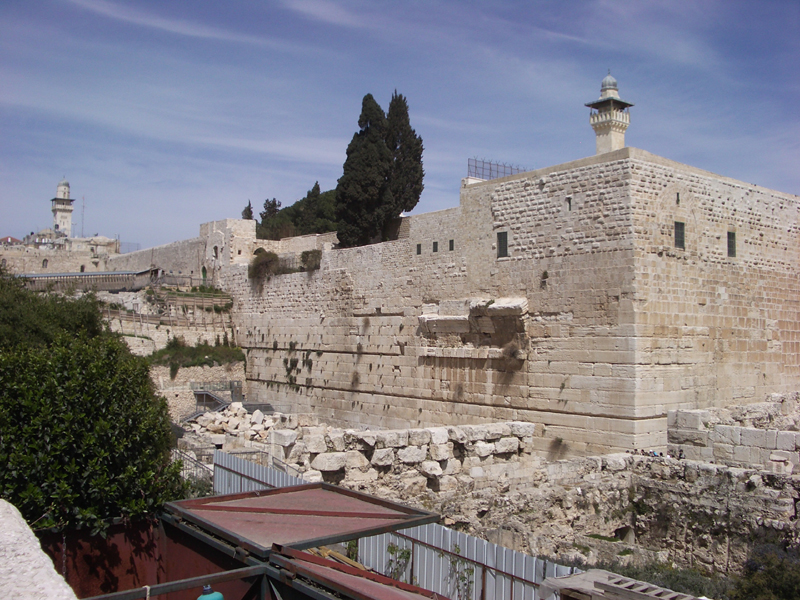 IMGP0907