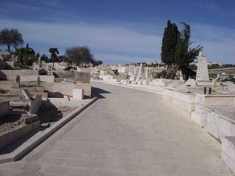 IMGP0935