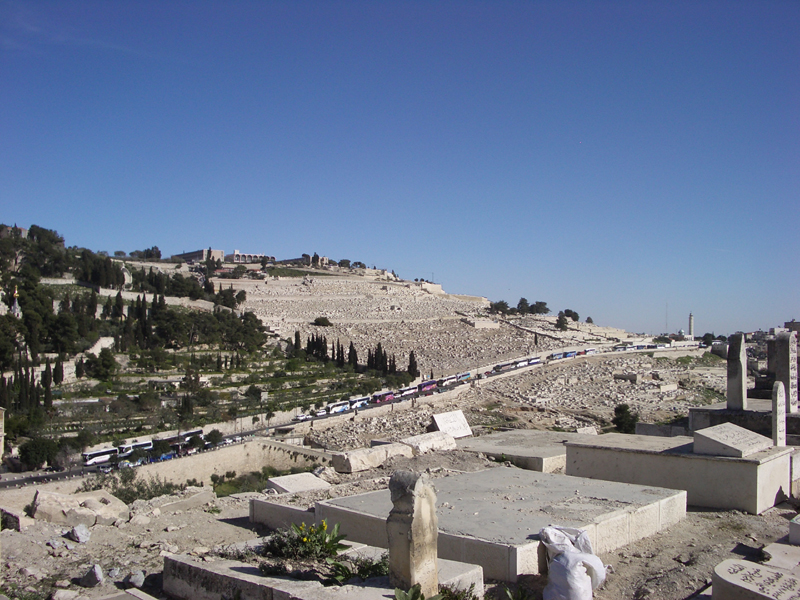 IMGP0937