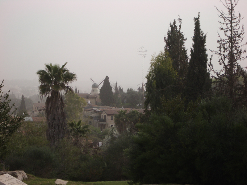 IMGP0962