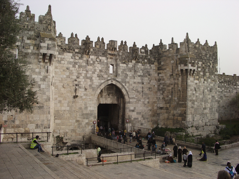 IMGP0967