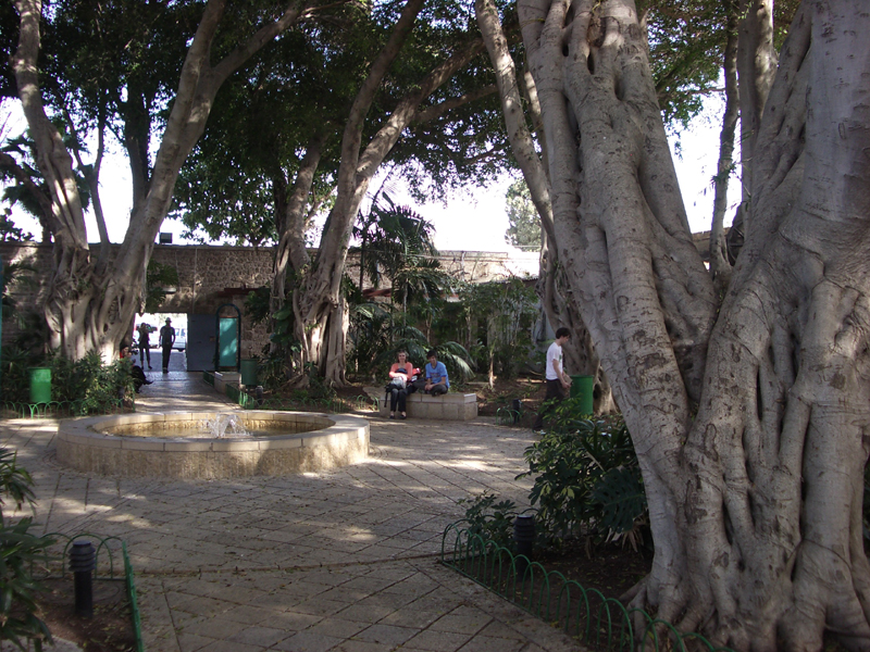 IMGP1131