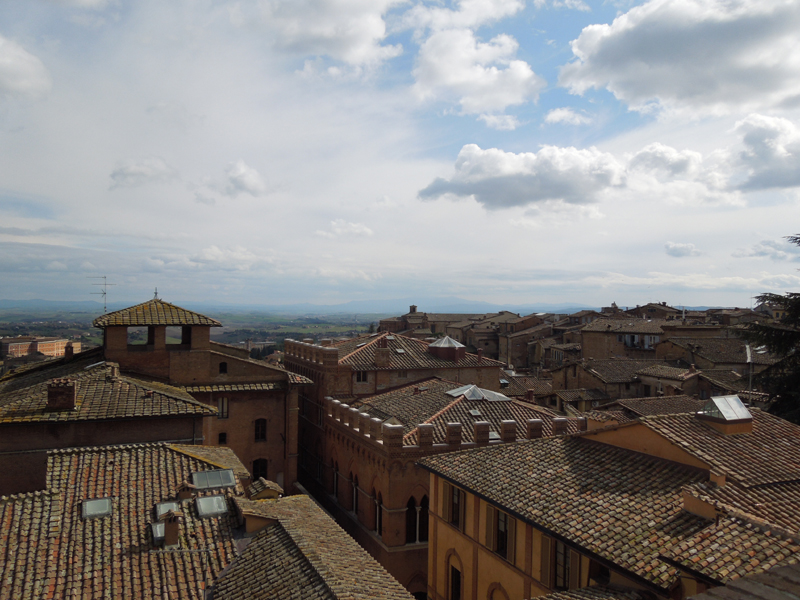 DSCN0229