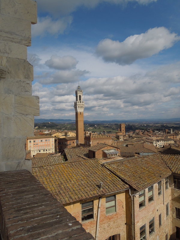 DSCN0232