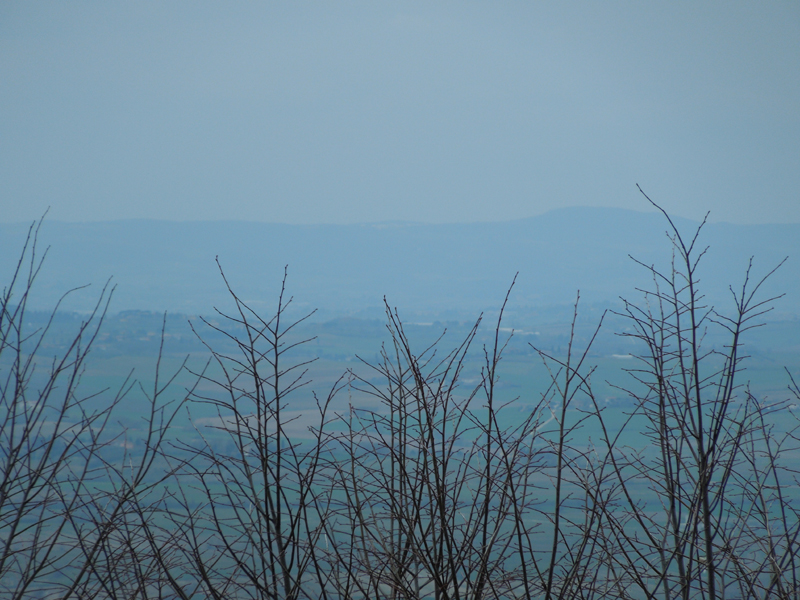 DSCN0323