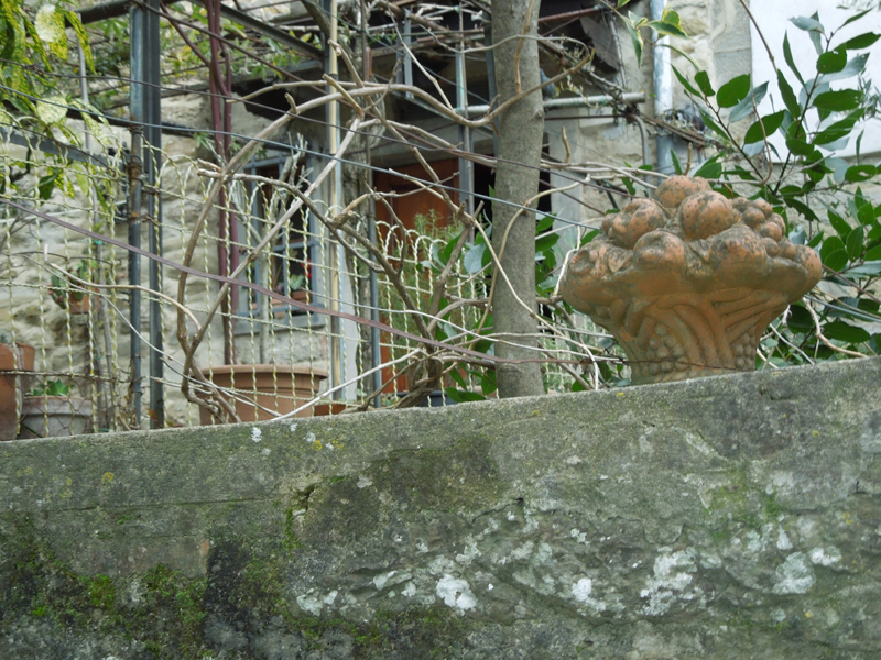 DSCN0343
