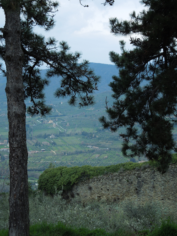 DSCN0348