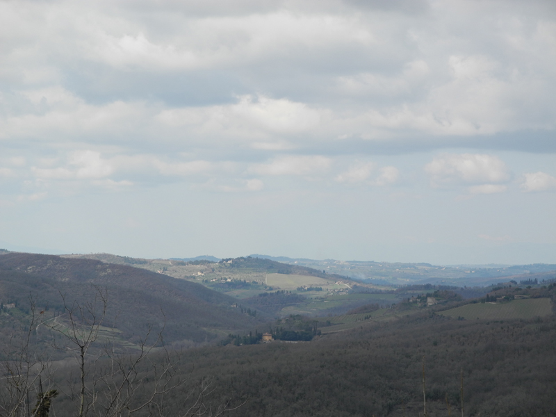 DSCN1348
