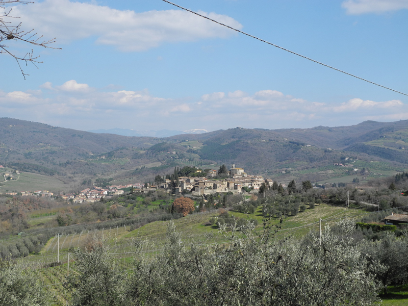 DSCN1422