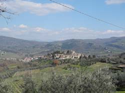 DSCN1422