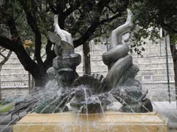 DSCN1447