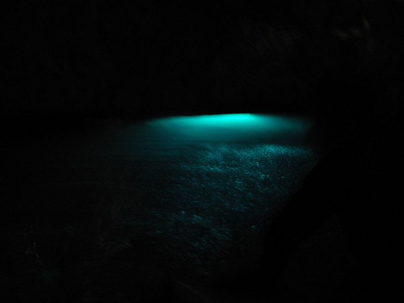 DSCN2744