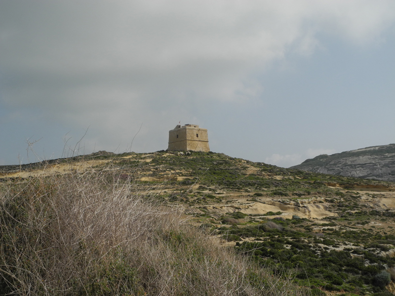 DSCN3048