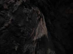 DSCN2746