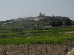 DSCN3011