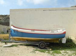 DSCN3046