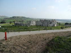 DSCN3055