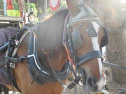 DSCN3159
