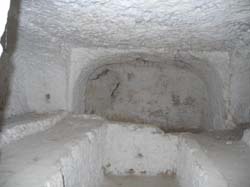 DSCN3175