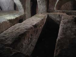 DSCN3179