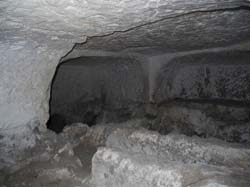 DSCN3186