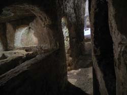 DSCN3188