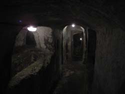 DSCN3193